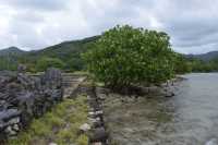 123 Marae Hauviri (Taputapuatea)