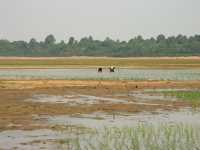 20-Baray Occidental *