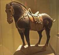 86 T Cuite Tang (618-907)