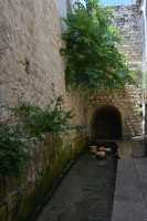 04 Bassin d'arrivée du canal d'Ezéchias