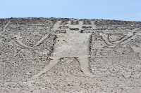 089 Géant de l'Atacama (Masque de félin - Ornements de plume - Bâton de commandement)