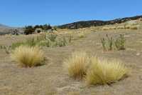 65 Mines d'or de Bendigo