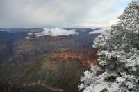 32 Gd Colorado Neige