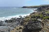 07 Côte rocheuse (entre Akahanga et Ahu Oroi)
