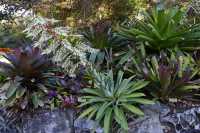 047 Jardin botanique