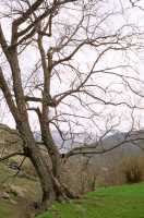 02  Nor Guétik près de Gochavank.NK