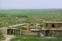 511 Nimrud - Palais d'Assurnasirpal II