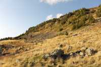 48 Les chalets de Chailloux