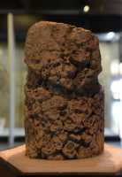 122 Statuette anthropomorphe - Corail - Iles de la Société (± 1700)