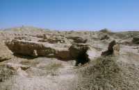 791 Mari, temple de Shamash