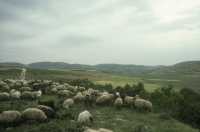 198 Entre Samarie et Nazareth