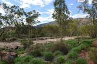 40 Lit de rivière avant Ellery Creek