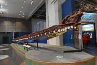 65 Teremoe - Grande pirogue utilisée dans les guerres contre le gouvernement colonial dans lea années 1860