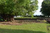 089 Marae Hititai (Taputapuatea)