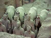 116 Quatre chevaux **