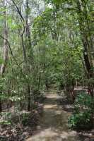 01 Ruisseau - Monsoon Forest