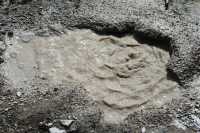 056 C Boue en ébullition