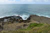 073 Près de Curio Bay