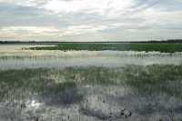 27 Mamukala le matin