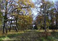 12 Forêt - 28:10:02