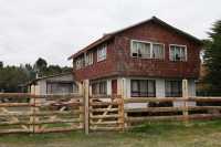 007 Chevaux dans le jardin