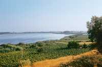 493 Lac au Sud d’Anxur 