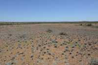 12 Le désert à Meteorite Craters B