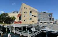 83 Te Papa - Musée de Nouvelle Zélande