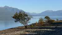 008 Lac Te Anau