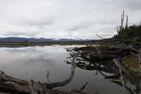 015 Vers l'Estancia Harberton