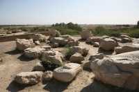 035 Suse - Adapana B *