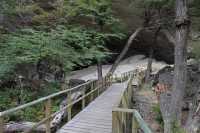 05 Cueva del Milodon