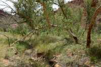 19 Kathleen Springs B