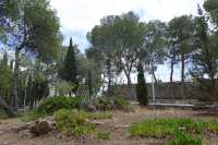 49 Le champ des bergers