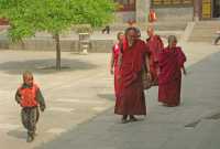 009 Pagode de l'oie - Moines