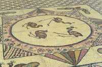 29 Mosaïque - Canard et oiseaux aquatiques