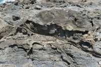 08 Roches volcaniques près de Hanga Poukura