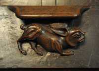 077 Stalle - Drôle de lièvre