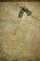 519 Nimrud - génie ailé bénissant un arbre sacré