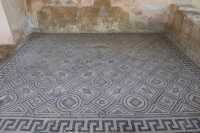 040 Maison du Nil - Mosaïque