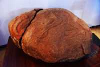 07 Tangata Manu (Homme oiseau enant un œuf) Orongo