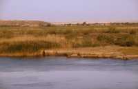 828 Zénobia, l'Euphrate