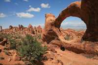 124 Double Arch