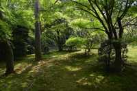 101 Ryoan-ji (Jardin)
