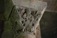 16 Chapiteau - Bateleur