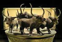 075  Coffre à cauris (coquillage servant de monnaie) 8 buffles & 2 tigres - Han de l'Ouest (-206 - +8)