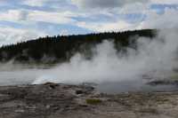 21 Lower Geyser Basin (Steady Geyser)