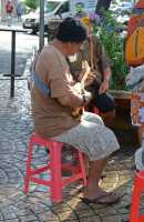 14 Musicien à Papeete
