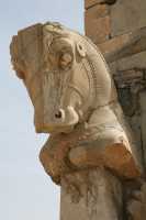 038 Hall des 100 colonnes *