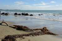 28 Boulders de Moeraki